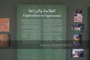 L\'agriculture et l\'agronomie - Exposition à Tlemcen  manuscrits scientifiques du Maghreb ; L’âge d’or des sciences arabes ; Sur les traces des Andalous