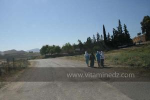 Entrée de Mghila, commune de la wilaya de Tiaret