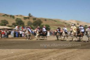 Ta3m ou Waada Rjal Meghila, ou Waadat Al Kraiche, fantasia, la3b, Goum ...