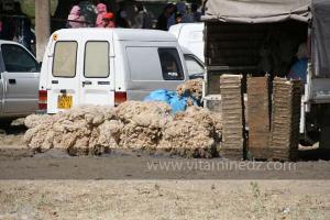 Ruches d\'abeilles à Ta3m ou Waada Rjal Meghila, ou Waadat Al Kraiche, fantasia, la3b, Goum ...