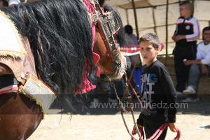 Ta3m ou Waada Rjal Meghila, ou Waadat Al Kraiche, fantasia, la3b, Goum ...