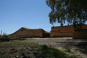 Ferme coloniale à Sidi Hosni (Waldeck-Rousseau) commune de la wilaya de Tiaret