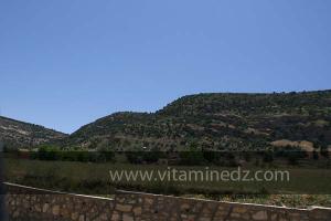 Guertoufa, commune de la wilaya de Tiaret