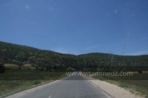 Guertoufa, commune de la wilaya de Tiaret