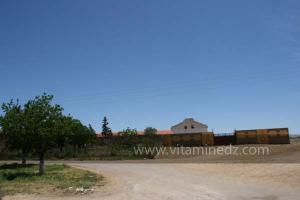 Ferme coloniale à Medroussa