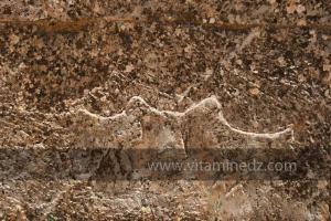 L\'ornementation des Djeddars présente des formes géométriques (rosaces, étoiles, chevrons), des signes distinctifs chrétiens (colombes entourant un calice), et des représentations d\'animaux déjà présentes à la préhistoire (bovins, chevaux, lions, etc...)