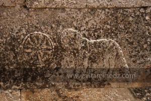 L\'ornementation des Djeddars présente des formes géométriques (rosaces, étoiles, chevrons), des signes distinctifs chrétiens (colombes entourant un calice), et des représentations d\'animaux déjà présentes à la préhistoire (bovins, chevaux, lions, etc...)