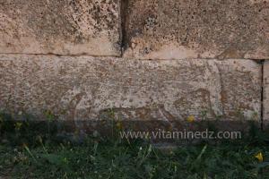 L\'ornementation des Djeddars présente des formes géométriques (rosaces, étoiles, chevrons), des signes distinctifs chrétiens (colombes entourant un calice), et des représentations d\'animaux déjà présentes à la préhistoire (bovins, chevaux, lions, etc...)