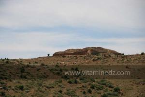 Les Djeddars au nombre de 13 dont 3 (classés A,B,C) sont situés au djebel Lakhdar (commune de Medroussa, wilaya de Tiaret)