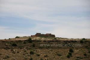 Les Djeddars au nombre de 13 dont 3 (classés A,B,C) sont situés au djebel Lakhdar (commune de Medroussa, wilaya de Tiaret)