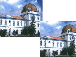 Qui se souvient de l'Araucaria (arbre) du CHUC de Benbadis de Constantine?