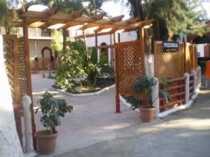 Blida -  LA VILLE DES ROSES FACE À UN ÉPINEUX PROBLÈME:  Le milieu équestre dans tous ses états