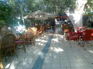 jardin publique Biskra