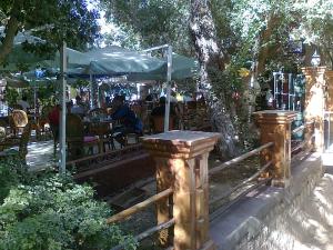 le jardin  de Biskra public