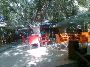 jardin  de Biskra public