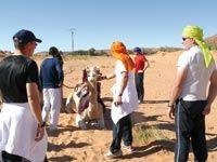 Algérie - Le DG de l’entreprise en a révélé les grandes lignes: Lancement du nouveau plan de développement de l’Onat