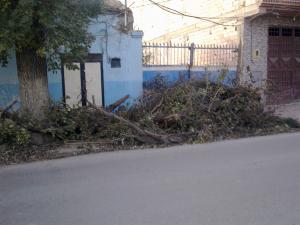 Tempête de vent à Tlemcen : Messieurs les Directeurs d'école vous êtes des irresponsables.