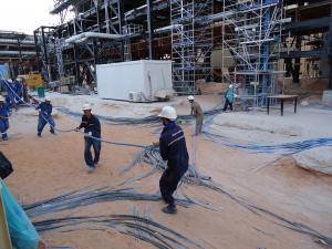 équipe Professional