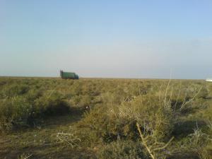 صحراء الجزائر