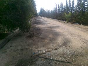 Garta el Hamra:une palmeraie luxueuse !