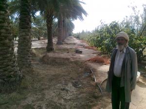 Garta el Hamra:une palmeraie luxueuse !