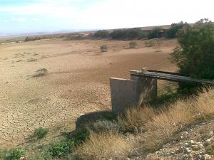 Palmeraie luxueuse:la retenue d'eau