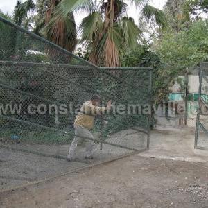 Constantine - La pépinière ornementale du Mansourah, des capacités délaissées…