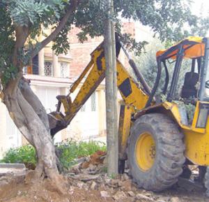 Chlef - Où sont les défenseurs de l’environnement?