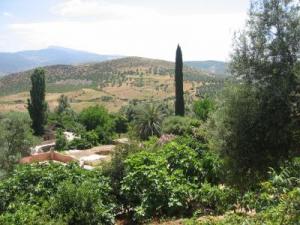 Bouhlou (Tlemcen) -  L’espoir renaît
