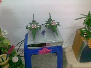 saci tahar maquettiste solitaire de Mchounéche !