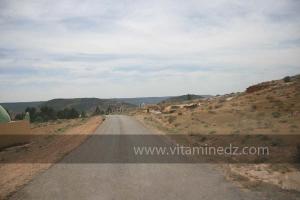 Entrée de Taoughzout (Qalat Beni Salama) siège des grottes troglodytes (protohistoriques). Elles sont connues actuellement sous le nom de grottes d\'Ibn Khaldoun