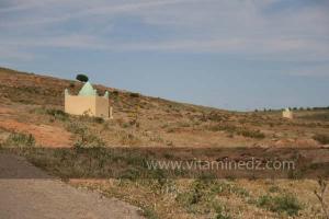Goubbas à Taoughzout (Qalat Beni Salama) siège des grottes troglodytes (protohistoriques). Elles sont connues actuellement sous le nom de grottes d\'Ibn Khaldoun
