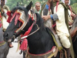 Tiaret - L'artisanat traditionnel à l'honneur