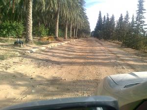 Palmeraie luxueuse d' El Hamra Garta