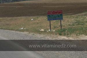 Guertoufa, commune de la wilaya de Tiaret