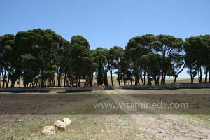Cimetière chrétien de Mellakou, commune de la wilaya de Tiaret