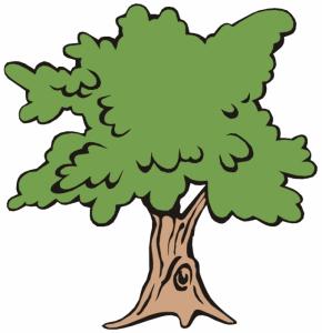 Oran - Reboisement de la forêt de Canastel: 500 arbres plantés par le mouvement associatif