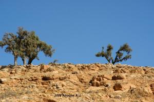 La nature à Beni Mileuk