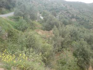 Ouled Gacem