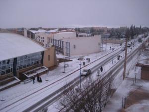 Sougueur sous la neige
