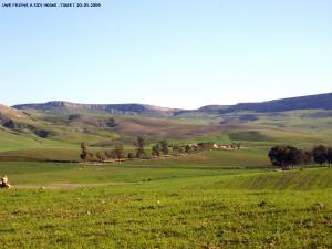 une ferme a sidi hosni - tiaret.