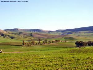 Les Beaux paysages de sidi hosni - tiaret