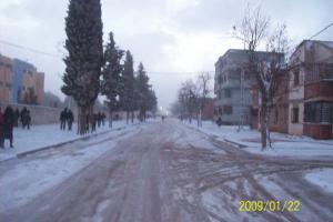 Sougueur sous la neige