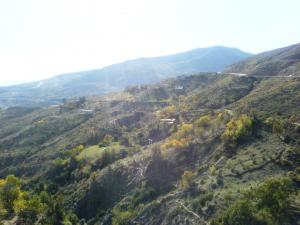 bounnemelle - berraka -