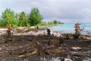 This picture taken on June 6, 2000 shows a beach