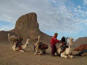 une caravane au  pic