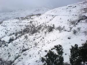 براقة تحت الثلج