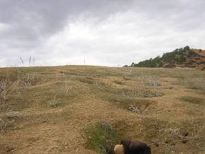 el metmar sidi Mansour à djeamma ouled cheikh