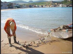 Pêcheur à Bouzedjar