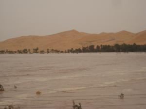 dernieres crues Oued Saoura